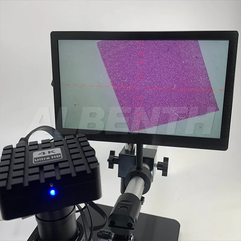 Albenth 4K 30fps 8.0 MP 1/1.8'' CMOS Professional Microscope Camera for Industrial Camera Microscope