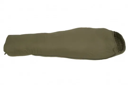 Carinthia Eagle sovepose