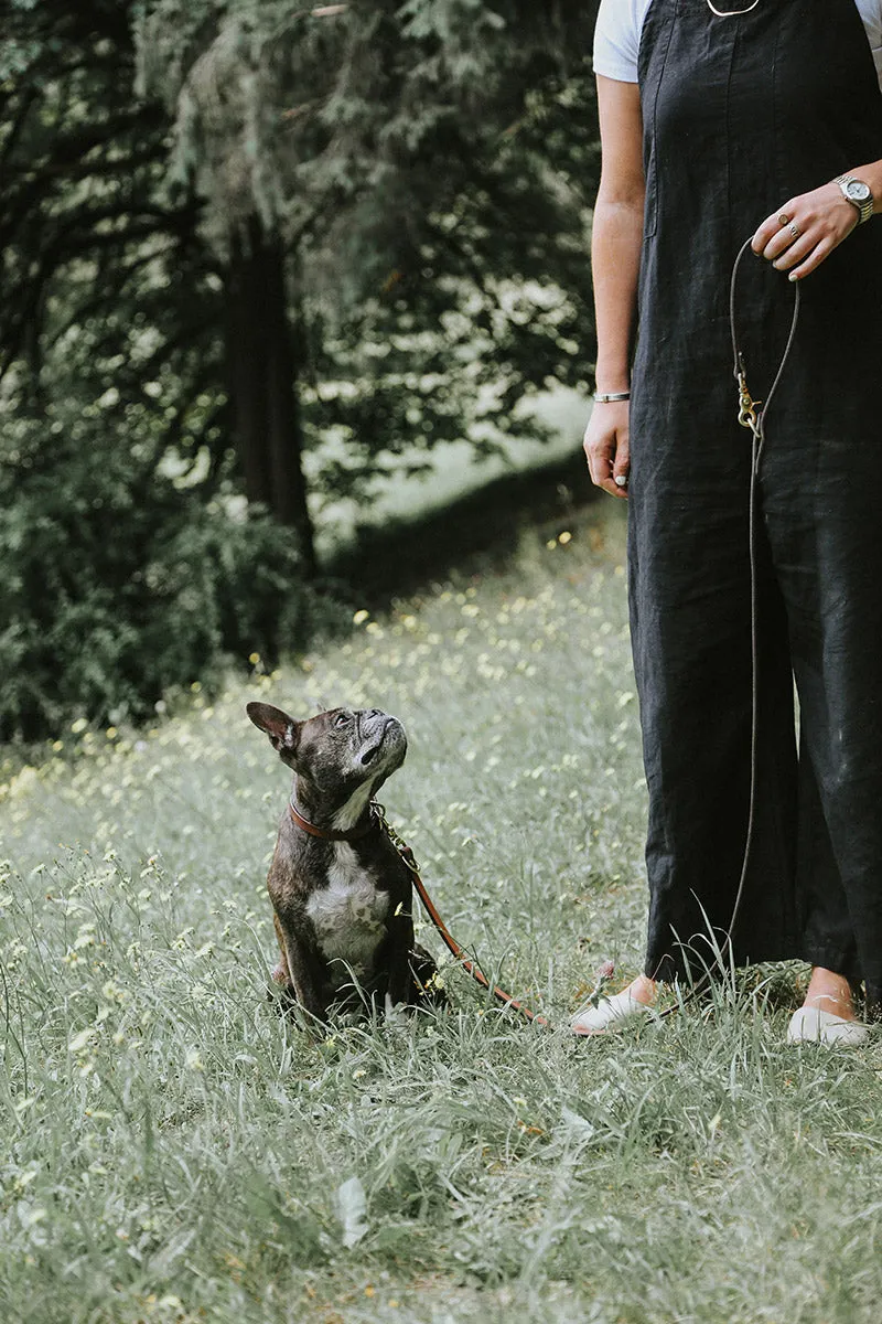 Convertible Canine Lead - Black