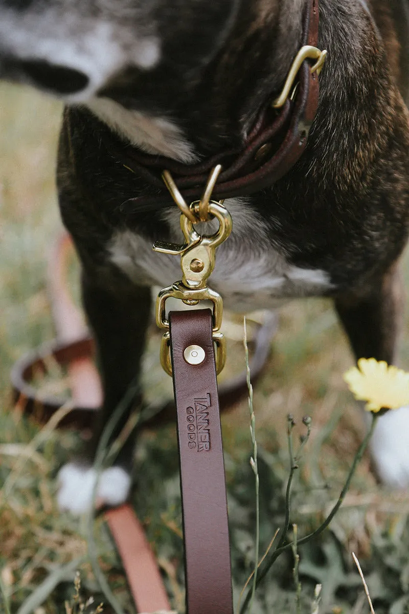Convertible Canine Lead - Cognac