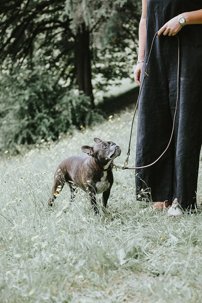 Convertible Canine Lead - Cognac