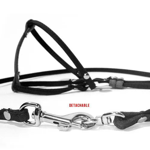 Dog Bar Step-In Nylon Dog Harness w/ Leash