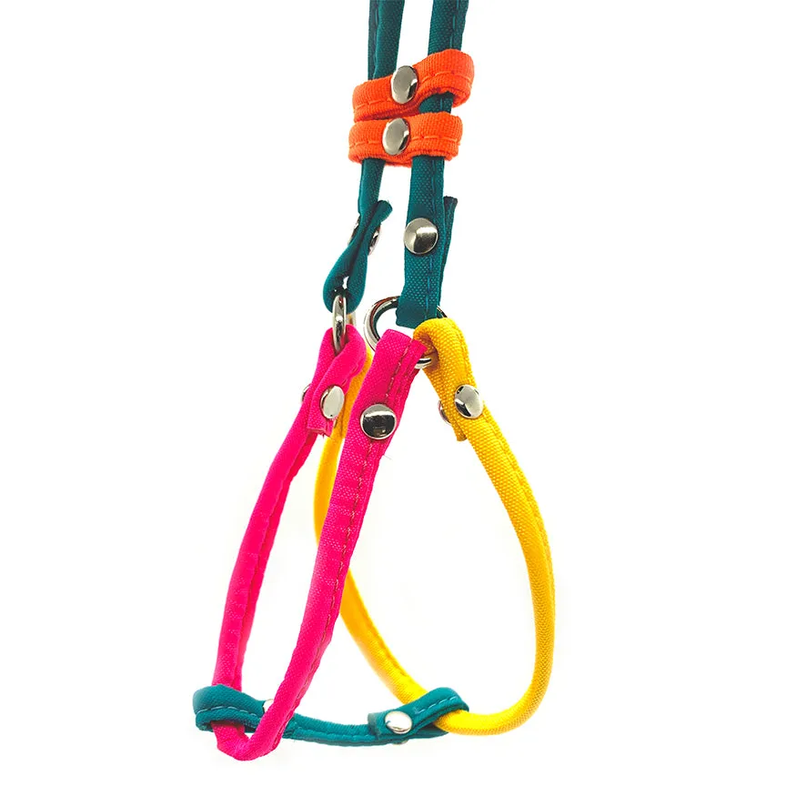 Dog Bar Step-In Nylon Dog Harness w/ Leash