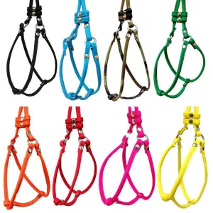 Dog Bar Step-In Nylon Dog Harness w/ Leash
