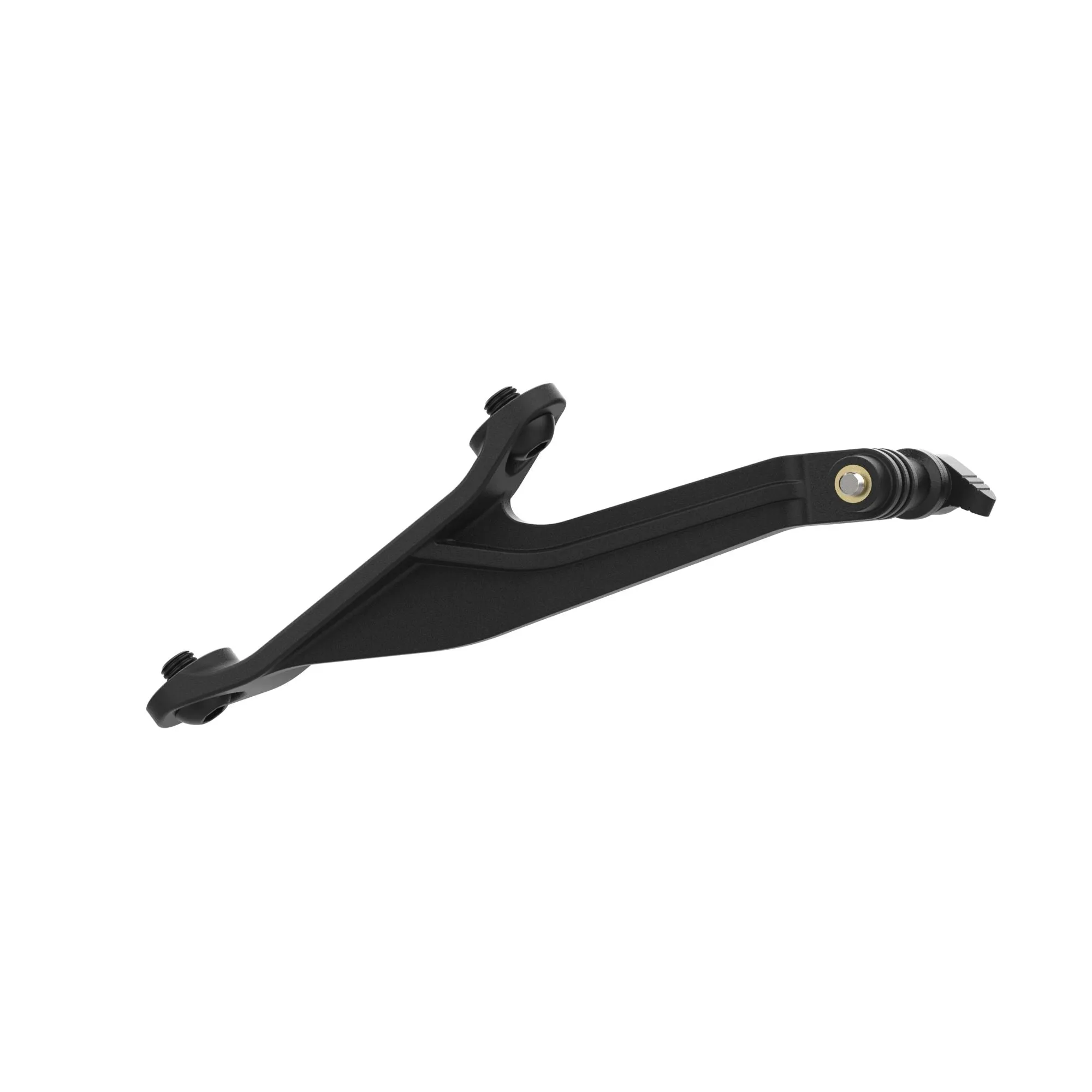 Evotech Footpeg Rear facing Action Camera Mount - BMW M 1000 R (2023 ) (Right-hand Side)