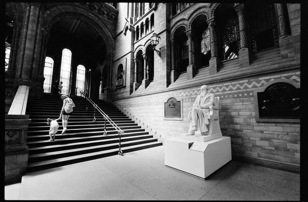 Kodak Disposable Film Camera - Tri-X