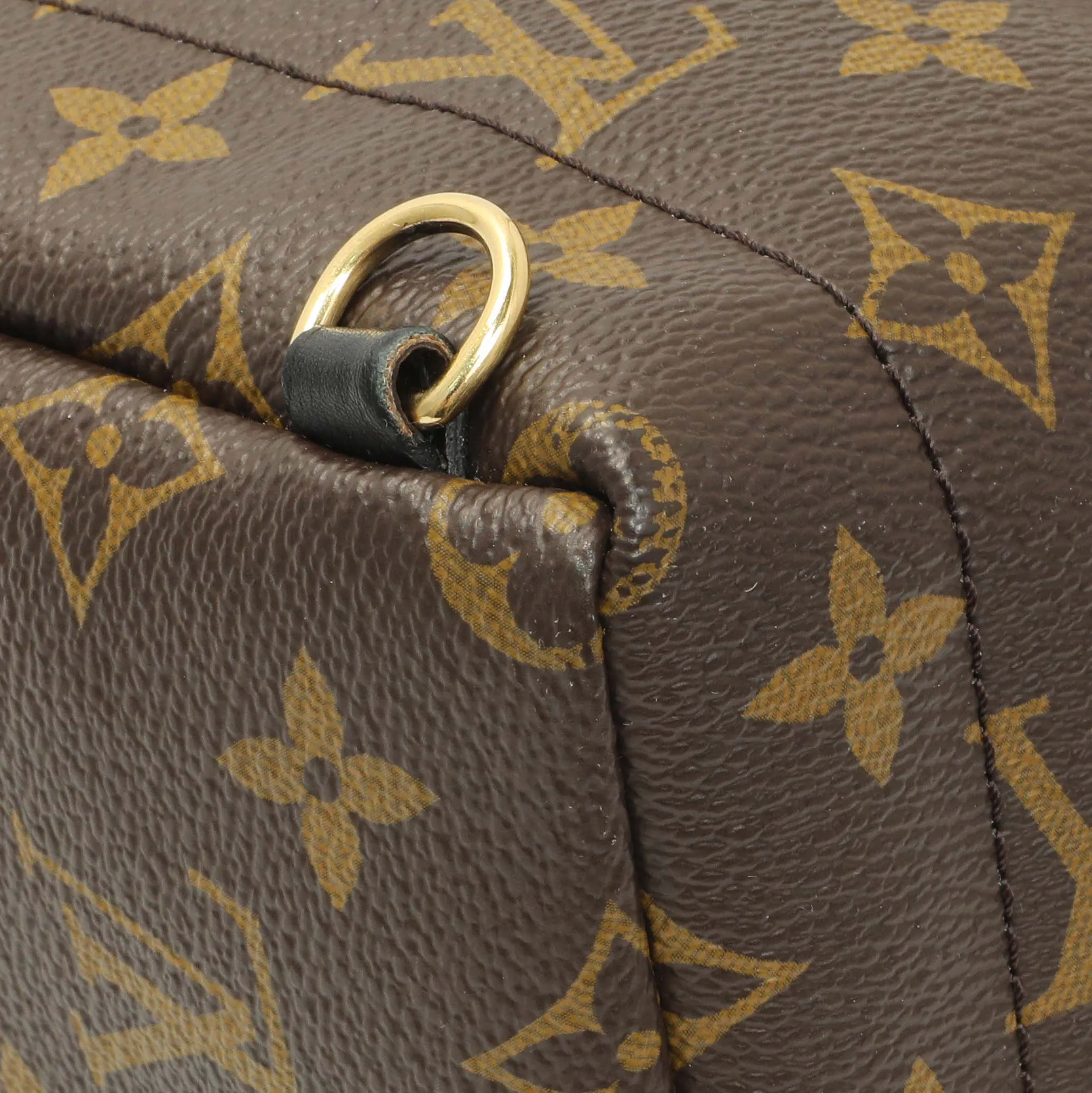 Louis Vuitton Monogram Palm Springs Backpack Mini