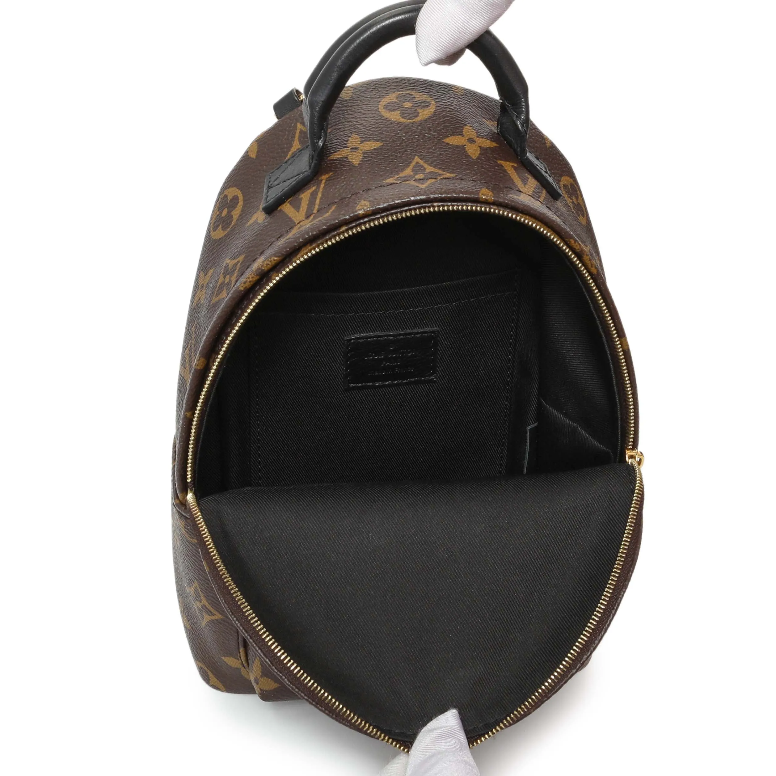 Louis Vuitton Monogram Palm Springs Backpack Mini