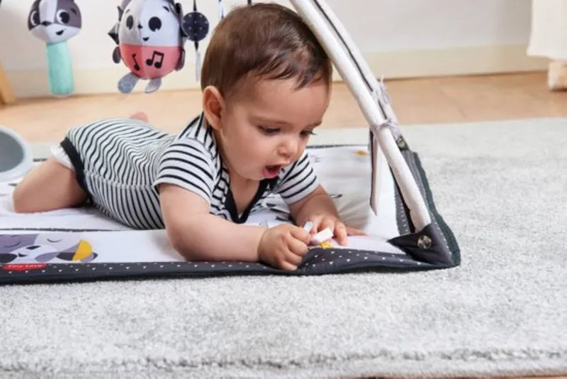 Monochrome Montessori | Modern Baby Activity Gym | Baby Play Mat | Baby Gym