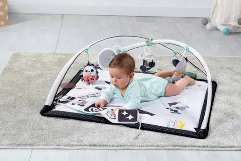 Monochrome Montessori | Modern Baby Activity Gym | Baby Play Mat | Baby Gym