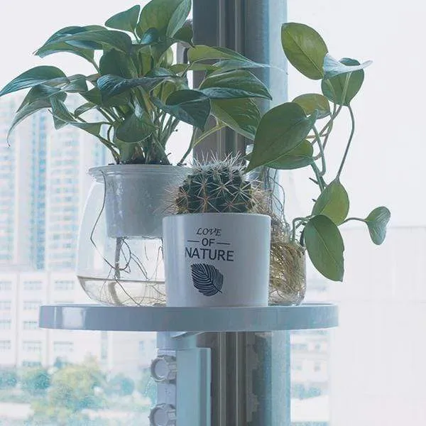 Nail-Free Storage Holder Shelves