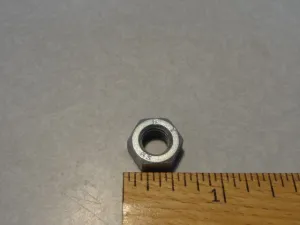 NUT (#92603208)
