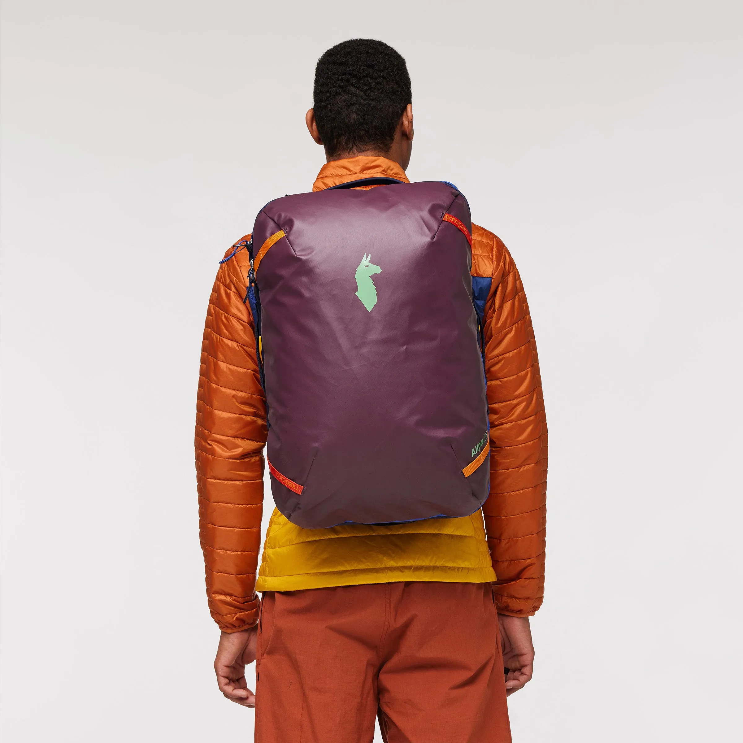 Rucksack Allpa 35L Travel Pack