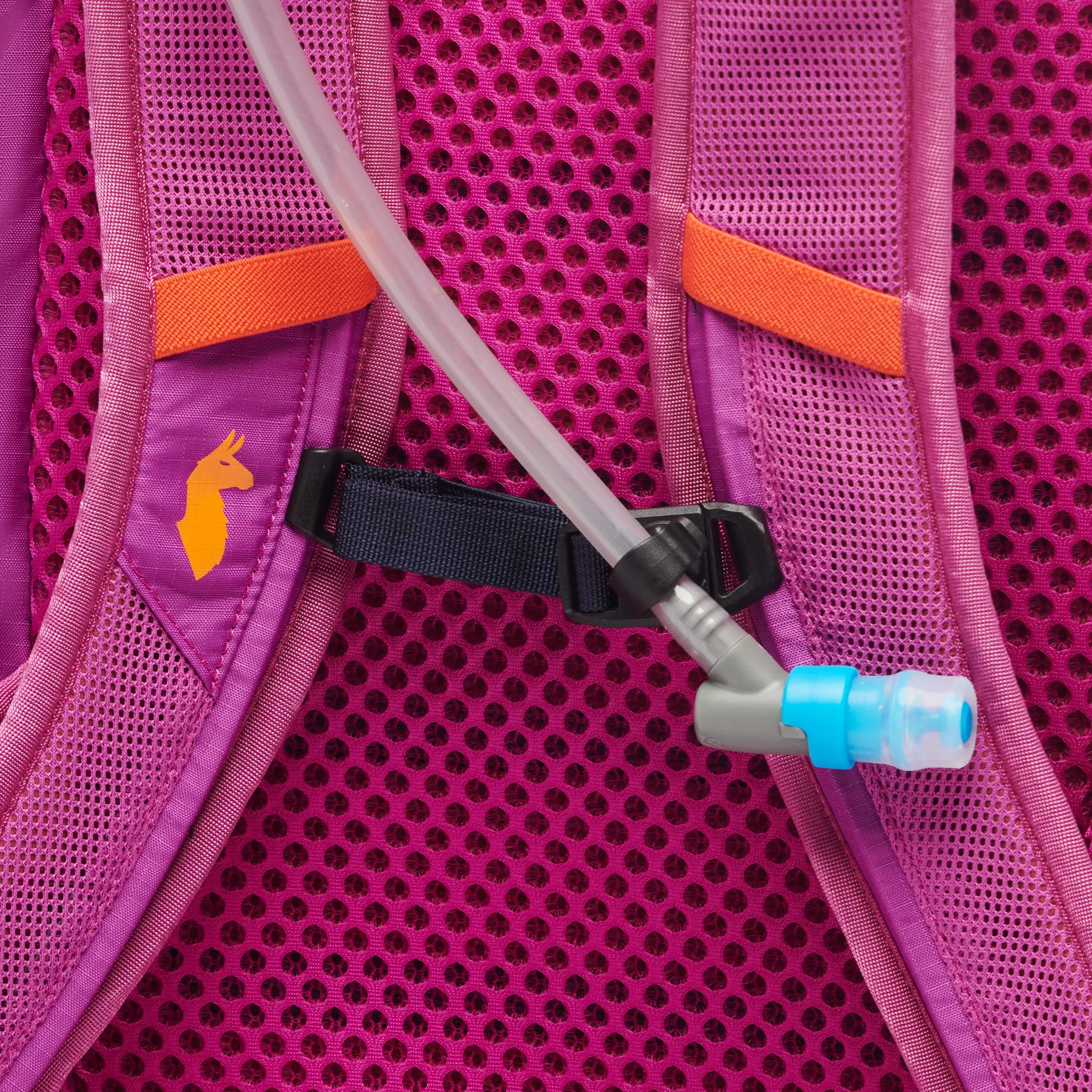 Rucksack Lagos 25L Hydration Pack