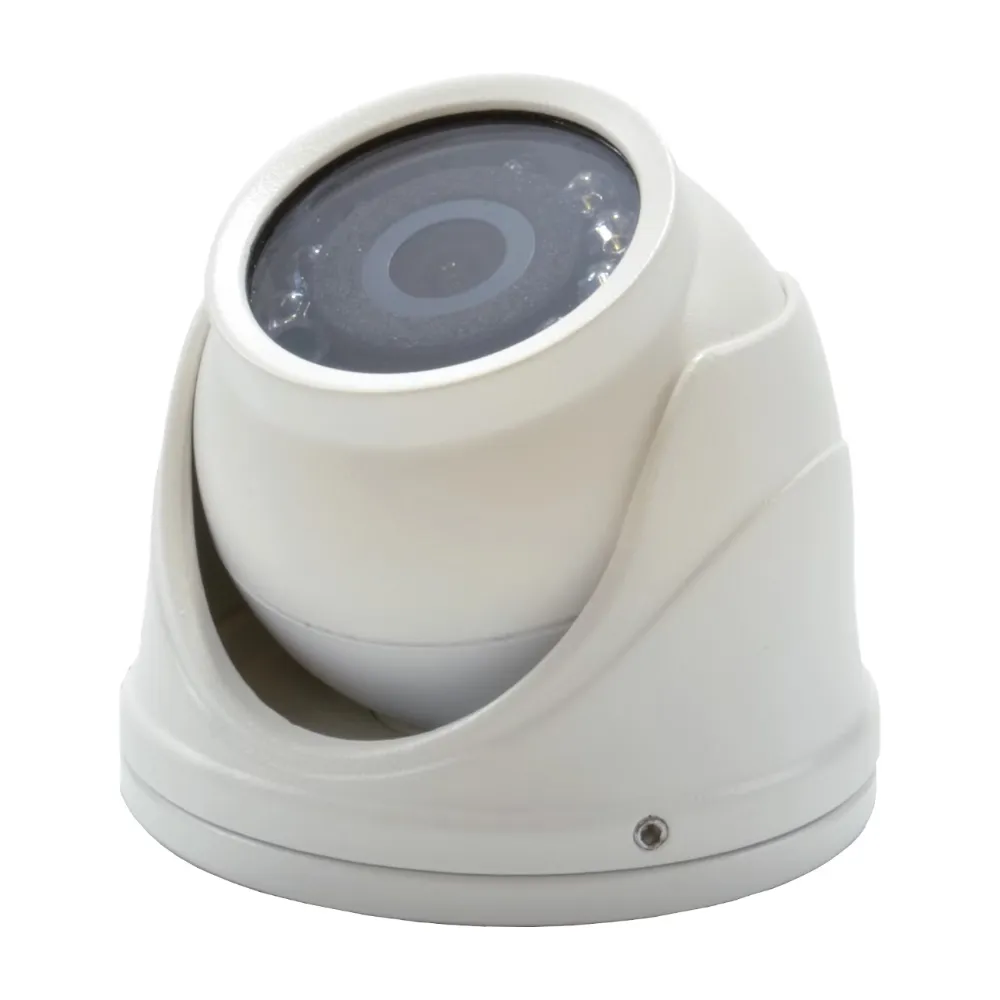 RVview 1080P Full HD Ball Camera White