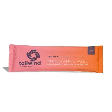 TAILWIND NUTRITION ENDURANCE FUEL - SINGLE