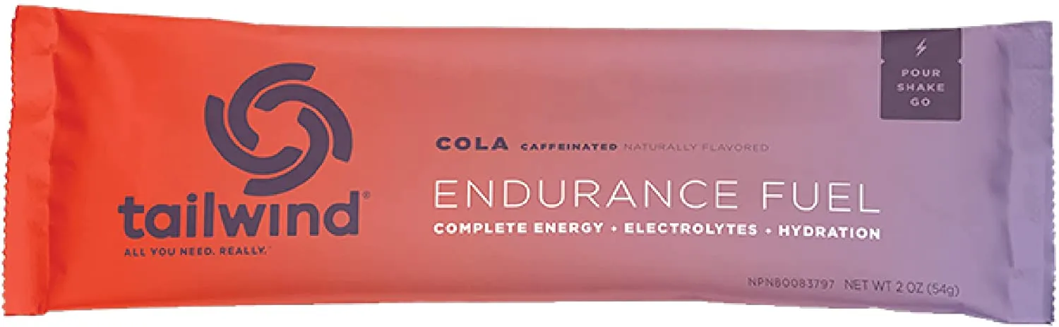 TAILWIND NUTRITION ENDURANCE FUEL - SINGLE