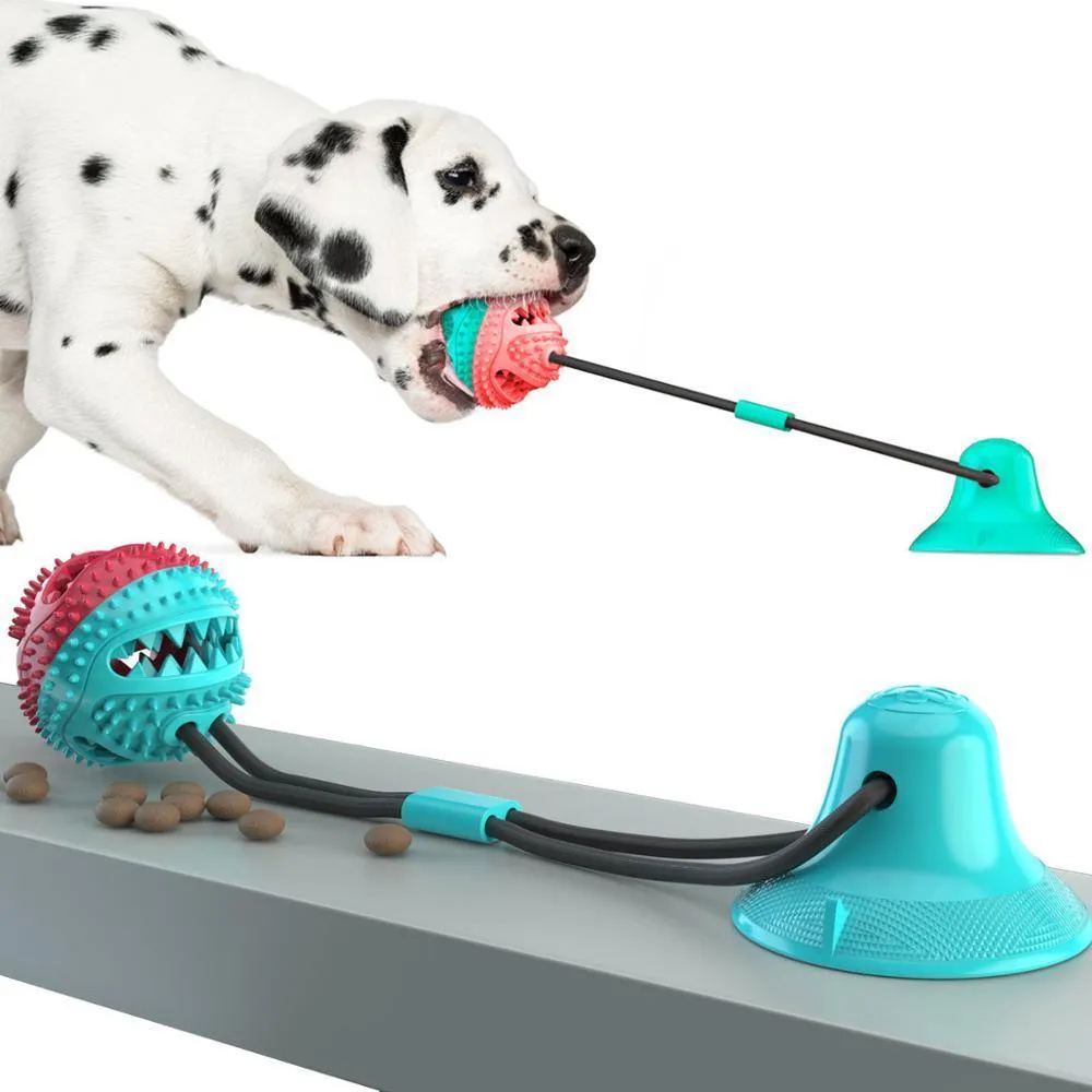 Tug of War Suction Cup | Multifunctional Chew Toy