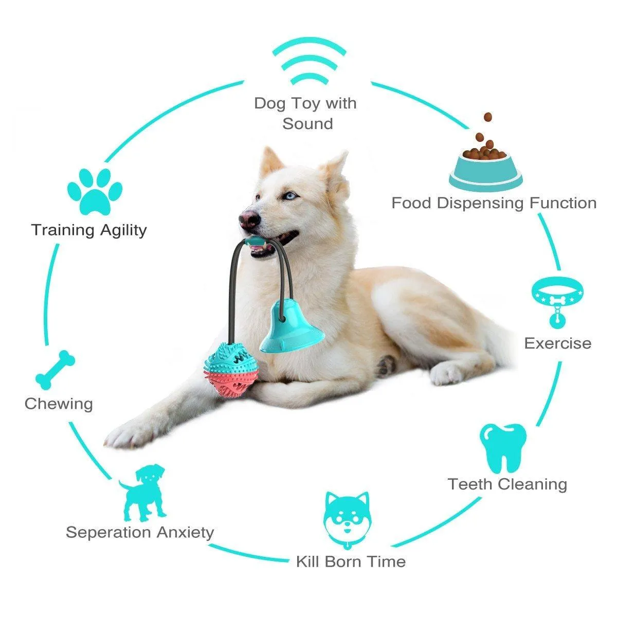 Tug of War Suction Cup | Multifunctional Chew Toy