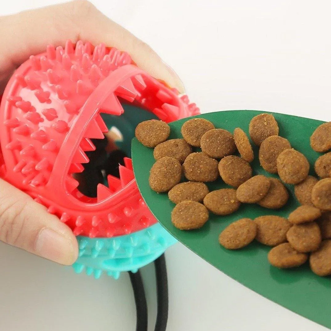 Tug of War Suction Cup | Multifunctional Chew Toy