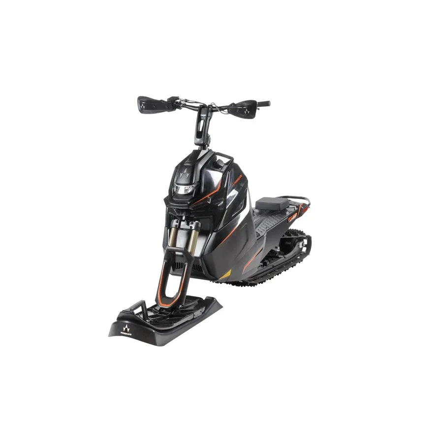 Widescape Ski holder