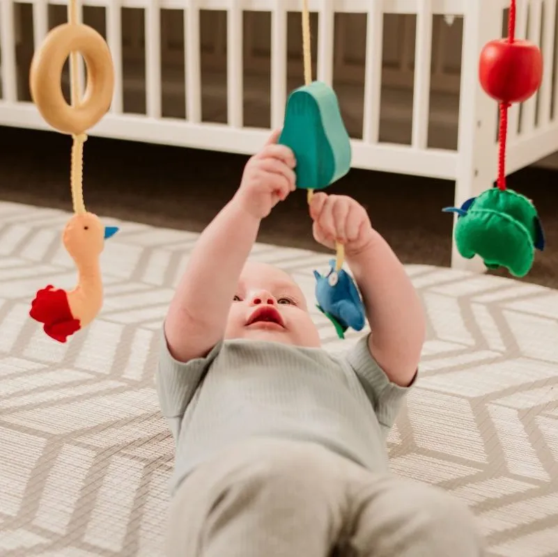 Wooden Baby Gym