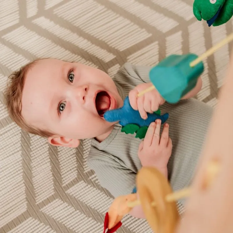 Wooden Baby Gym