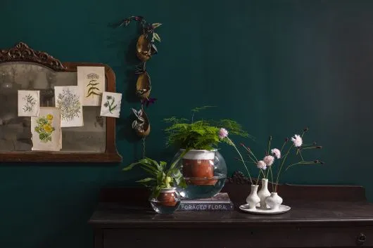 Zahara Budvase